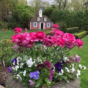 Meet your Posher, Anne